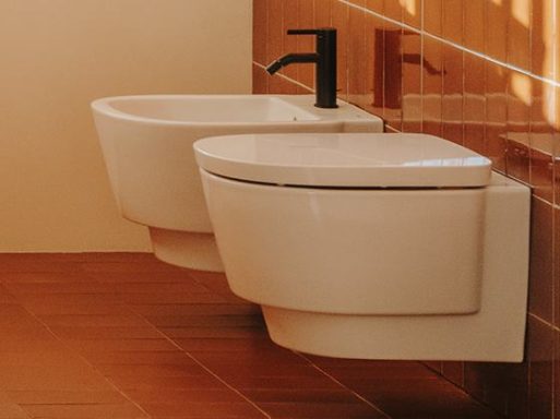 Roca toilets